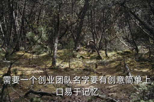 團隊名稱創意，需要一個創業團隊名字要有創意簡單上口易于記憶