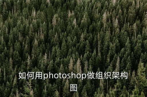 如何用photoshop做組織架構圖