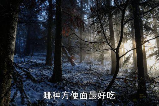 什么方便面最好吃，哪種方便面最好吃
