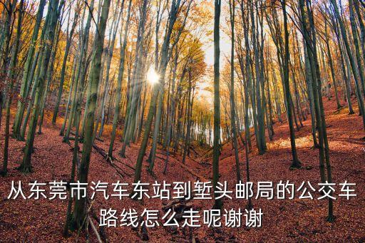 東莞總站到塹頭市場，從東莞市東站到東城區塹頭路家樂福百貨要怎么坐車