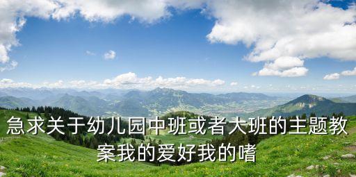 急求關(guān)于幼兒園中班或者大班的主題教案我的愛好我的嗜