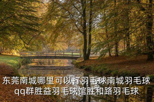 東莞拓體育，東莞莞城附近哪里有室外籃球場謝謝大家啊急求