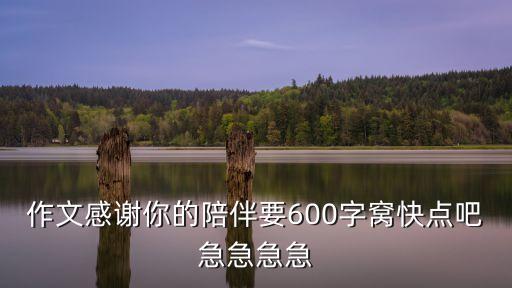 作文感謝你的陪伴要600字窩快點吧急急急急