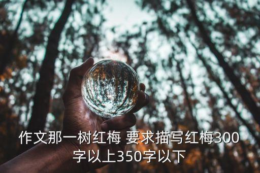寫梅花的作文，作文那一樹紅梅 字數300字以上 400自以下
