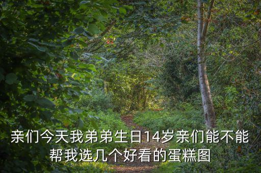 男士生日蛋糕圖片，親們今天我弟弟生日14歲親們能不能幫我選幾個好看的蛋糕圖