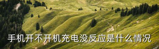 手機(jī)開不開機(jī)充電沒反應(yīng)是什么情況