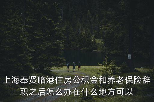 上海奉賢臨港住房公積金和養老保險辭職之后怎么辦在什么地方可以