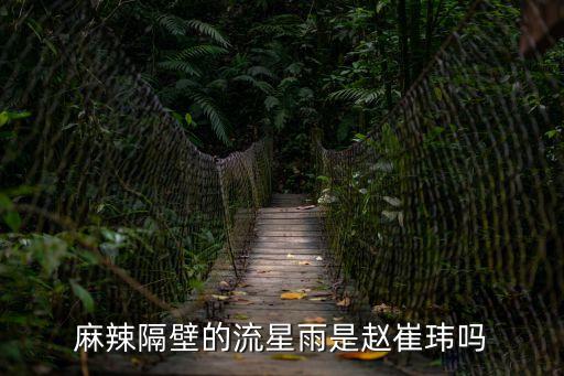 麻辣隔壁的流星雨是趙崔瑋嗎