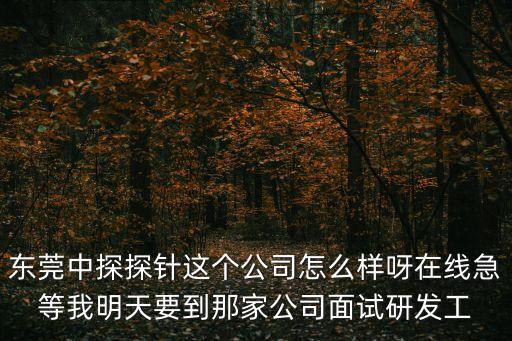 東莞中探探針這個公司怎么樣呀在線急等我明天要到那家公司面試研發工