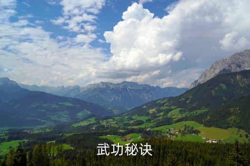 武功秘訣