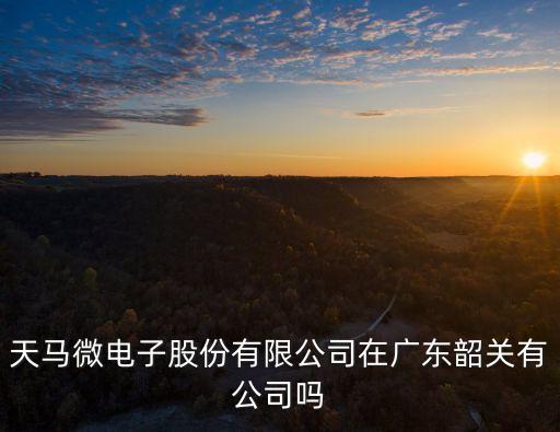 天馬微電子股份有限公司在廣東韶關有公司嗎