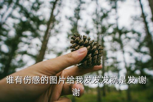 誰有傷感的圖片給我發(fā)發(fā)發(fā)就是發(fā) 謝謝