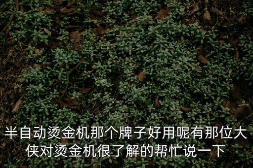 東莞燙臺(tái)那個(gè)牌好，半自動(dòng)燙金機(jī)那個(gè)牌子好用呢有那位大俠對(duì)燙金機(jī)很了解的幫忙說(shuō)一下