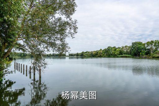 楊冪圖，楊冪美圖