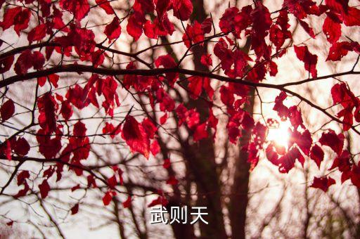 武則天照片，武則天武則天