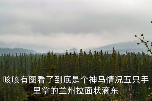 咳咳有圖看了到底是個神馬情況五只手里拿的蘭州拉面狀滴東