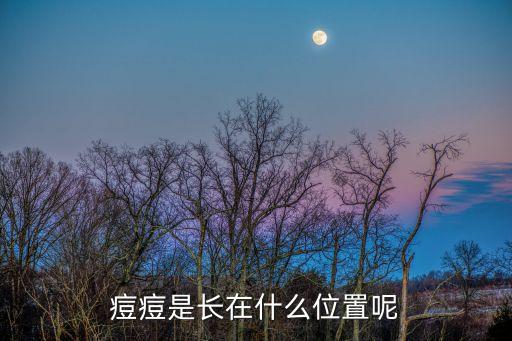 痘痘是長在什么位置呢