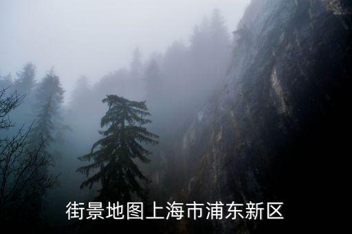 街景地圖上海市浦東新區(qū)