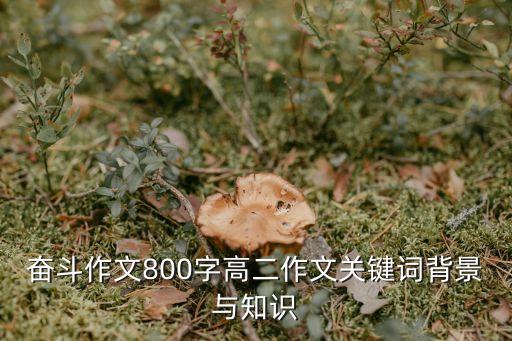 奮斗作文800字高二作文關鍵詞背景與知識