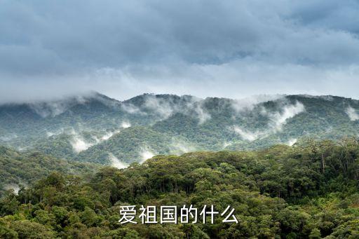 愛祖國的什么