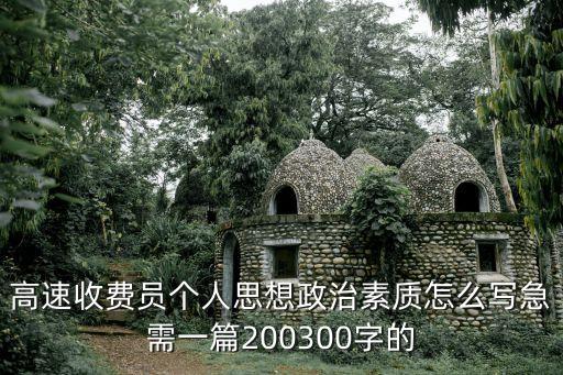 政治素質(zhì)評價，政治試卷評價怎么寫