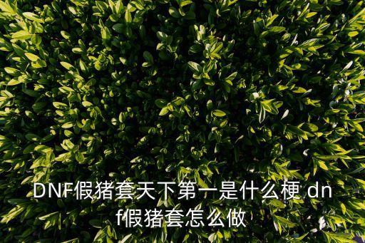 假豬套天下第一，DNF假豬套天下第一是什么梗 dnf假豬套怎么做