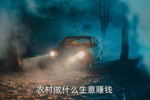 農村做什么生意賺錢