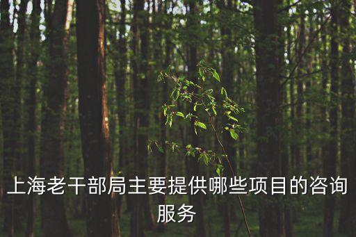 上海老干部局主要提供哪些項(xiàng)目的咨詢服務(wù)