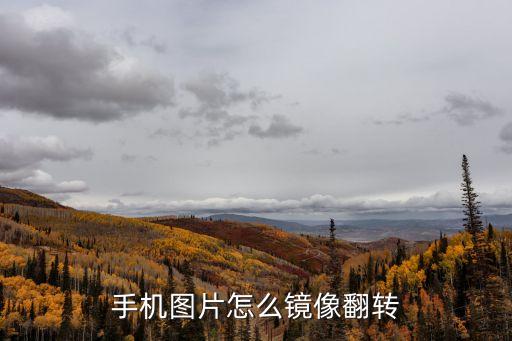 手機圖片怎么鏡像翻轉