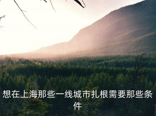 想在上海那些一線城市扎根需要那些條件