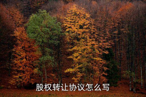股權(quán)轉(zhuǎn)讓協(xié)議怎么寫