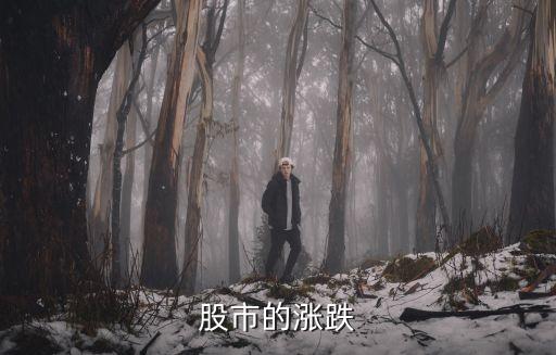 股票漲跌，股市的漲跌