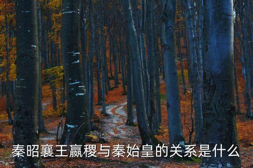 秦王贏稷，嬴稷是秦始皇的什么人