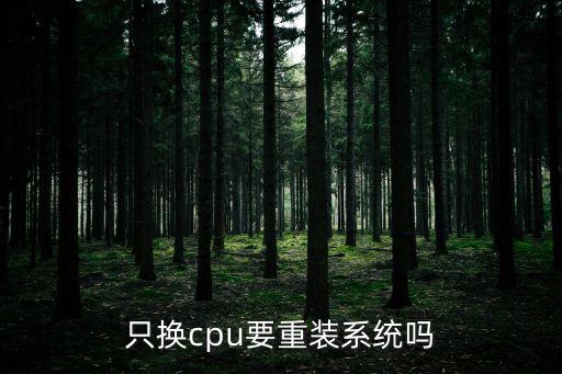 換cpu需要重裝系統嗎，換個CPU 要重裝系統嗎