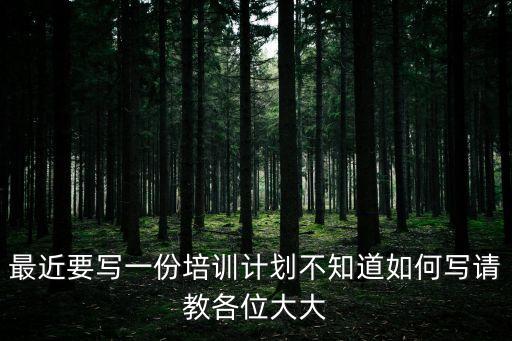 最近要寫一份培訓計劃不知道如何寫請教各位大大