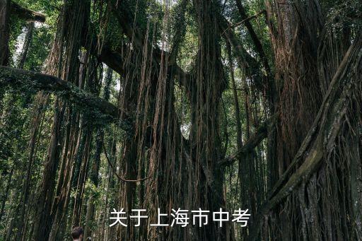 關于上海市中考