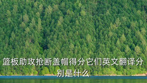 籃板助攻搶斷蓋帽得分它們英文翻譯分別是什么