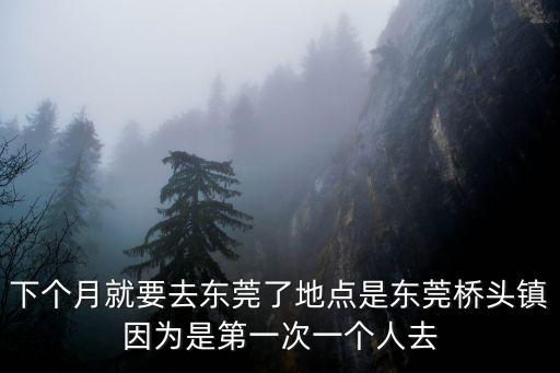 鹿寨汽車站到東莞，柳州鹿寨到東莞南城汽車票價