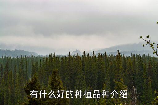 有什么好的種植品種介紹