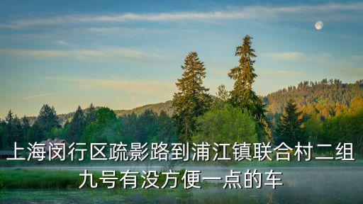 上海閔行區(qū)疏影路到浦江鎮(zhèn)聯(lián)合村二組九號(hào)有沒(méi)方便一點(diǎn)的車
