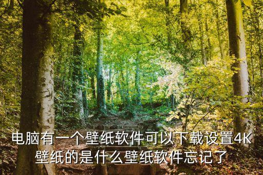 電腦有一個壁紙軟件可以下載設置4K壁紙的是什么壁紙軟件忘記了