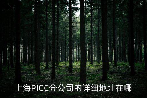 上海市供銷合作總社辦公地址，上海PICC分公司的詳細地址在哪