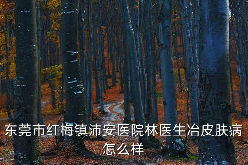 東莞市紅梅鎮沛安醫院林醫生冶皮膚病怎么樣