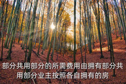 上海市住宅物業管理規定2004年版，部分共用部分的所需費用由擁有部分共用部分業主按照各自擁有的房