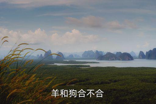 羊和狗合不合，狗和羊相配嗎