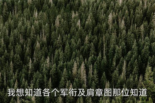 肩章軍銜圖解，軍銜圖示的問題
