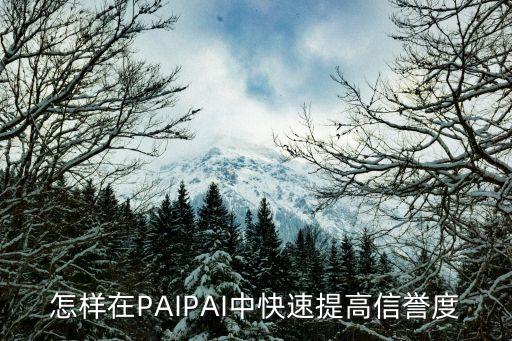 怎樣在PAIPAI中快速提高信譽度
