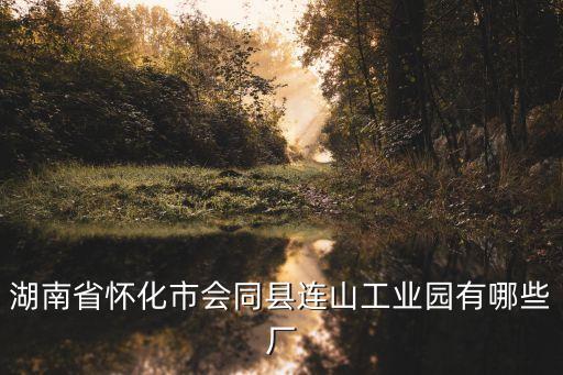 東莞源雅化工材料有限公司，湖南省懷化市會同縣連山工業(yè)園有哪些廠