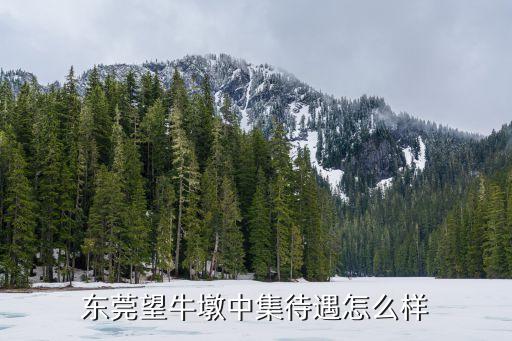 東莞中集待遇怎么樣，東莞望牛墩中集待遇怎么樣