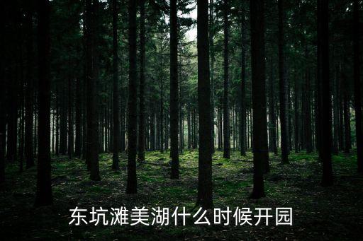 東莞灘美湖全長，東坑灘美湖一圈多少公里